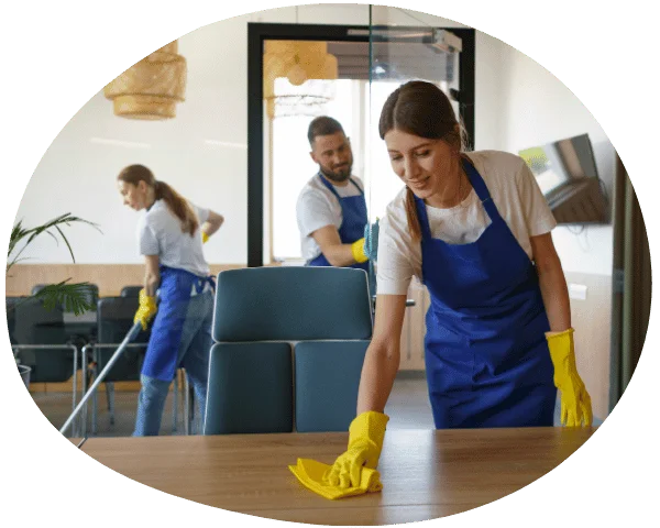 Cleaning serveries in Kerry