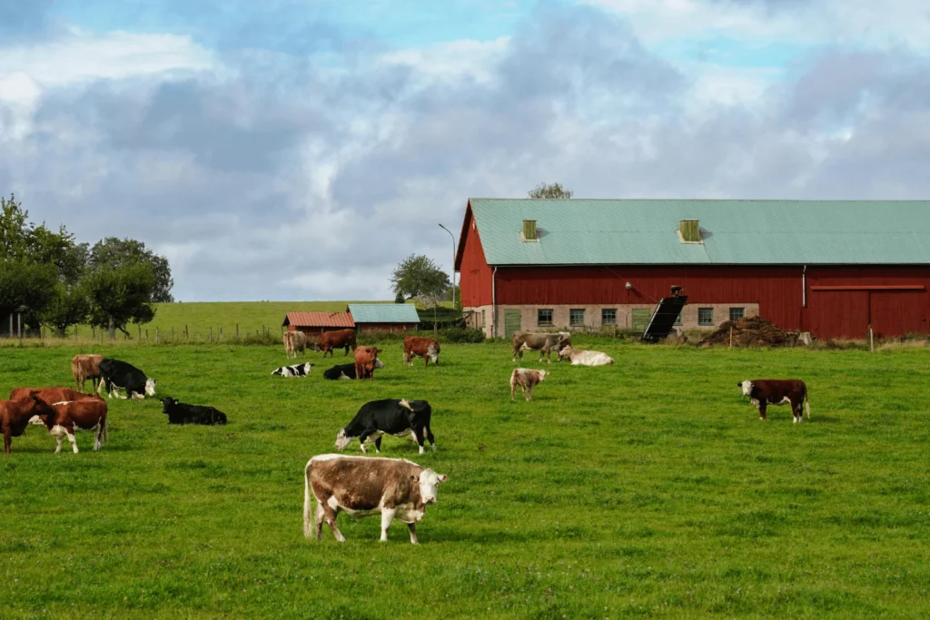 Farm Cleaning Services in Kerry