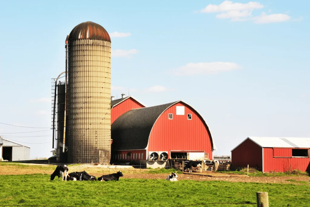 Safe soft wash roof cleaning for farms in Kerry — protect sheds & buildings from moss and algae.