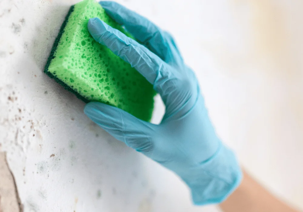 Bathroom Mould Removal Service in Kerry