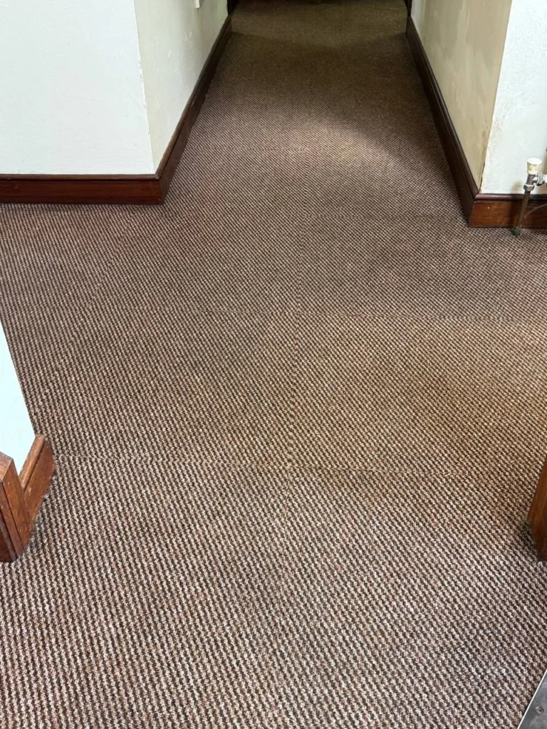 Professional Carpet Cleaning Kerry for Tralee, Killarney, Dingle, Listowel and beyond—reliable local service across County Kerry.
