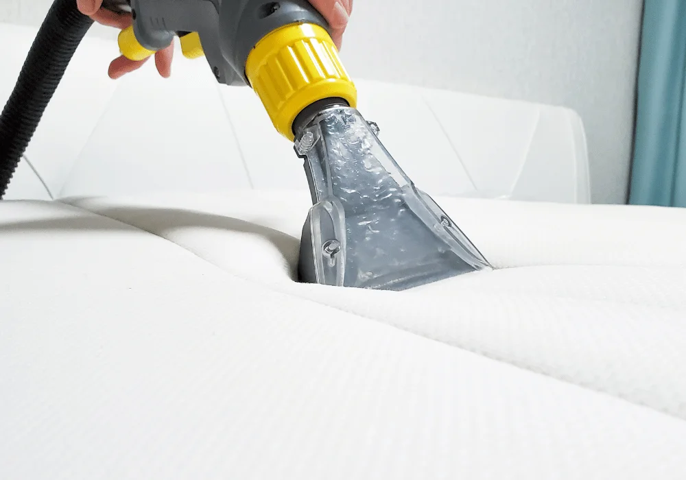 Carpet and sofa cleaning in Kerry — we deep-clean, sanitise, and refresh every fabric with proven, eco-friendly methods.