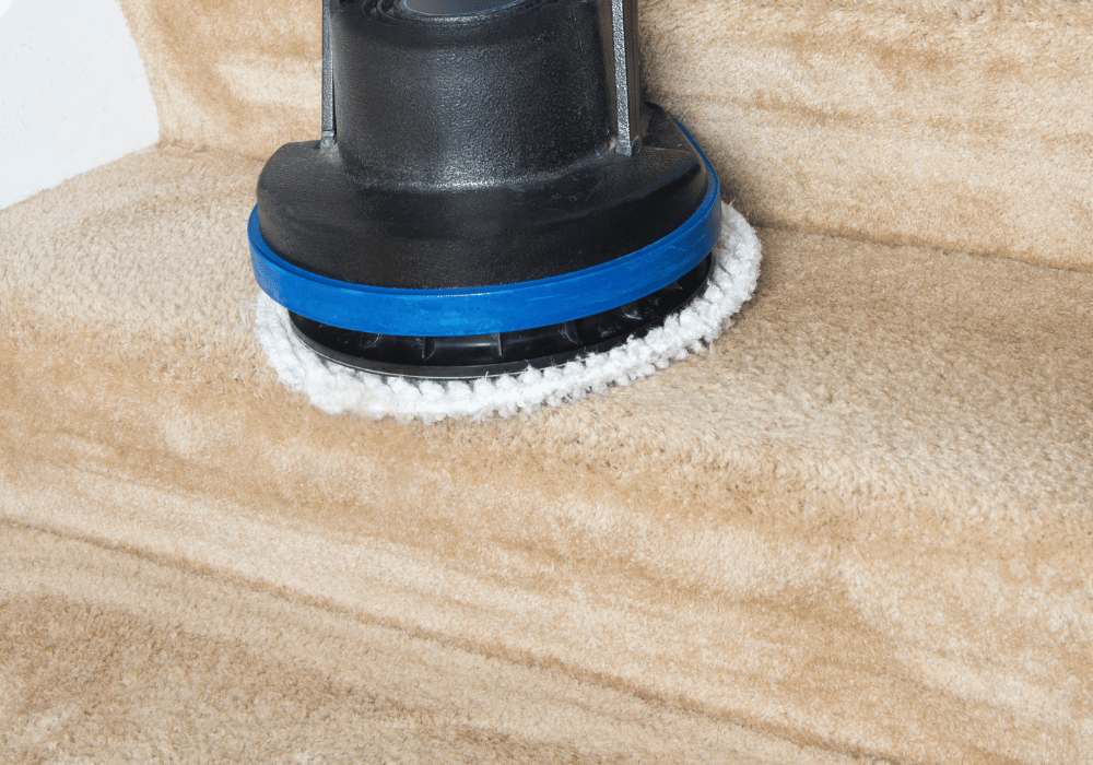 Professional carpet and sofa cleaning in Kerry — remove stains, allergens, and odours with safe, deep steam treatment.