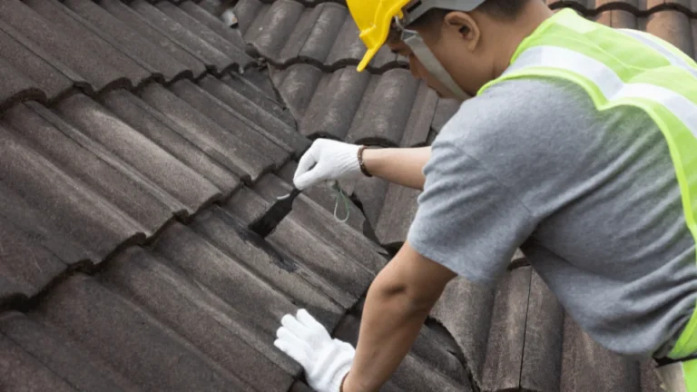 If your roof looks faded from coastal exposure, roof painting in Dingle can give the whole property a fresher, more balanced look.