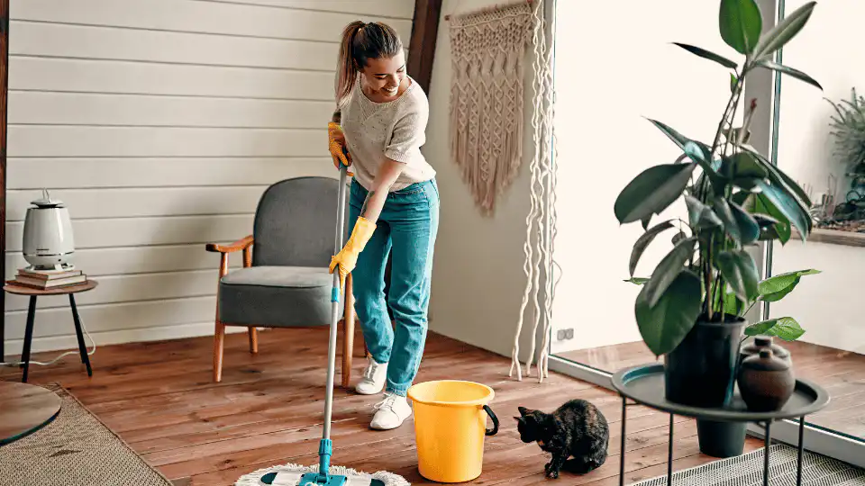 A practical guide to Airbnb turnover cleaning in Kerry, with a 24-point checklist to help hosts protect reviews and improve guest readiness.