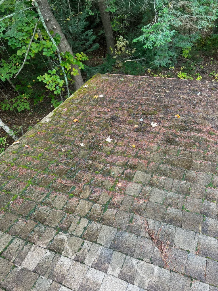 Power washing in Kerry removes moss, algae, and staining while restoring driveways, patios, and exterior surfaces.