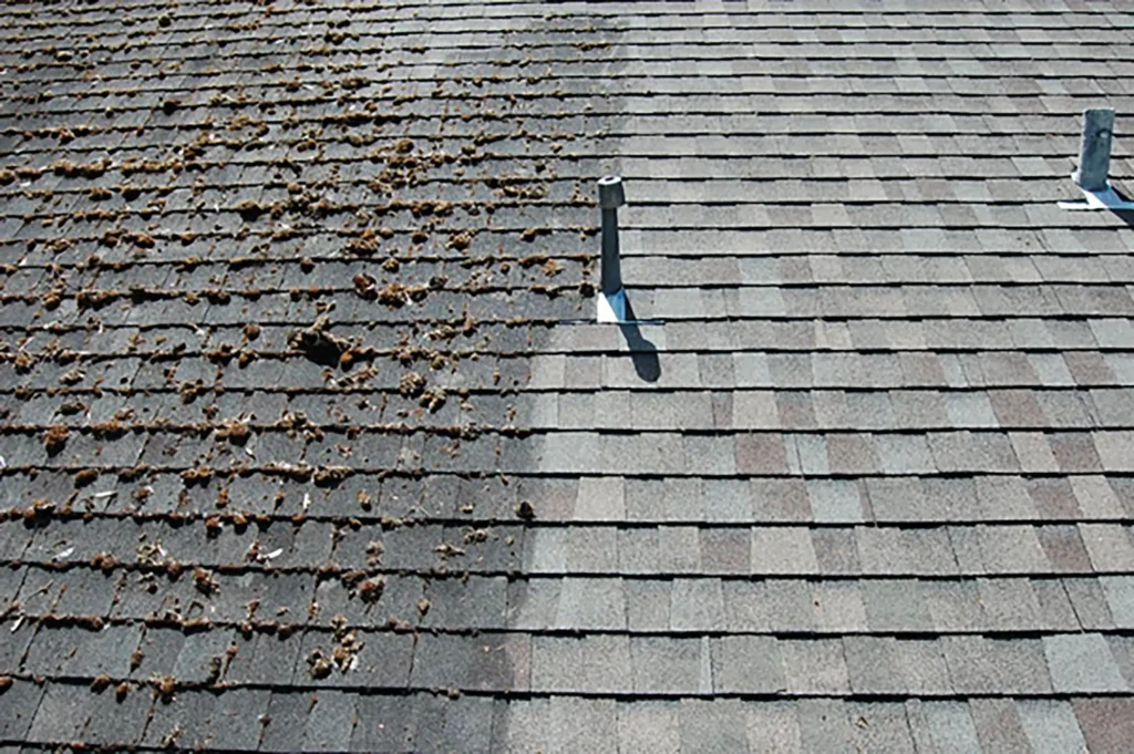 Roof cleaning in Kerry from €250. Learn what affects the final cost, when soft washing is used and how to get an accurate quote from DNK Cleaning.