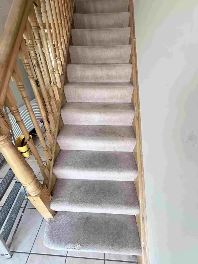 Check carpet cleaning costs in Kerry, including rooms, rugs and stairs. DNK Cleaning prices start from €45, with quotes based on the actual job.