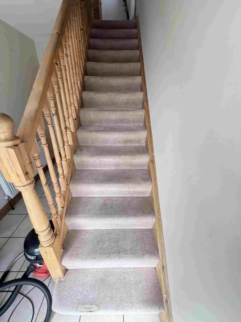 How much does carpet cleaning cost in Kerry? DNK prices start from €45 for carpets, rugs and stairs. Send photos for an accurate quotation.