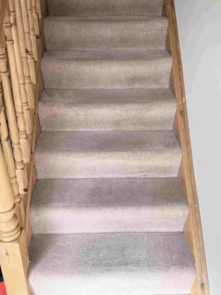 Compare cleaning services Kerry prices for apartments and houses. See hourly rates, deep cleaning costs and how to request an accurate quote.
