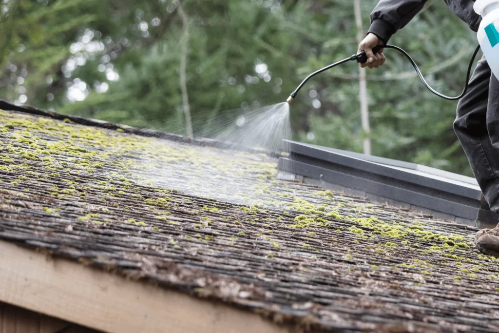Professional Roof Cleaning and Gutters maintenance helps prevent damp walls, blocked downpipes, and expensive structural repairs.