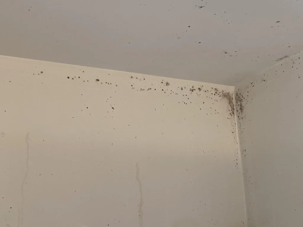 Find current cleaning prices in Listowel for homes, apartments and rentals. See starting rates and what can affect your final quotation.