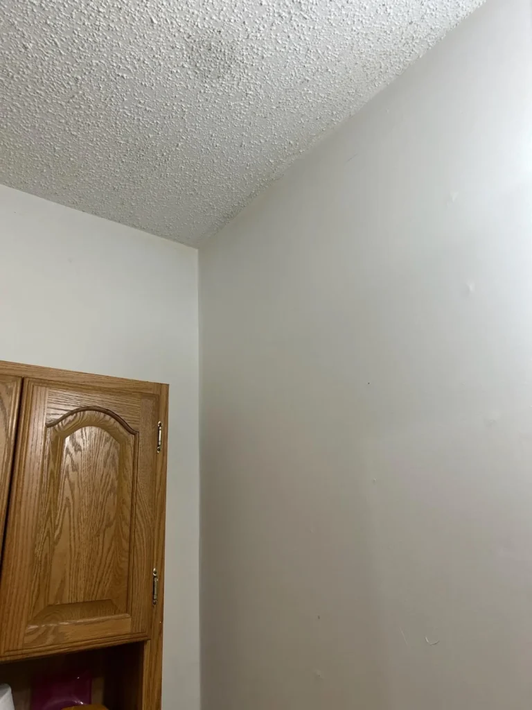 Black mould on walls is often linked to excess moisture. Learn the possible causes and explore professional mould treatment services in Kerry.