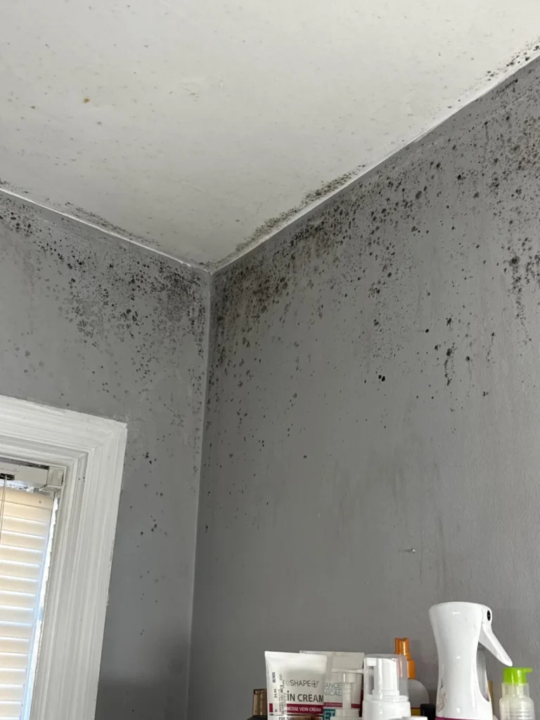 Black mould keeps returning? Find out how condensation, damp and water leaks affect bedroom walls and what professional treatment can do.