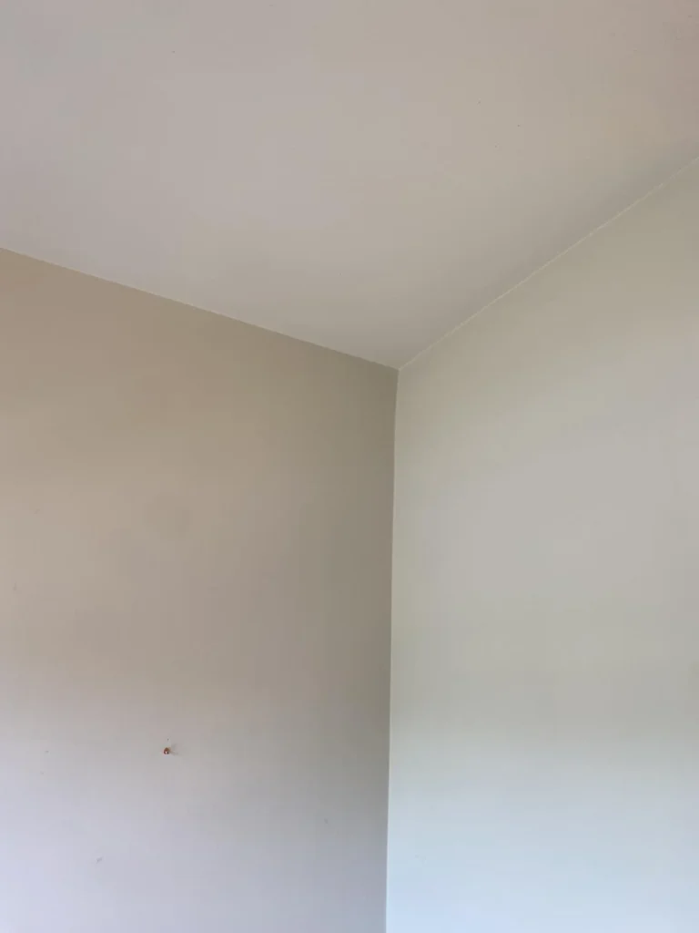 Check cleaning prices in Listowel for 2026, from regular house cleaning to deep cleaning, move-out cleaning, carpets and specialist treatments.