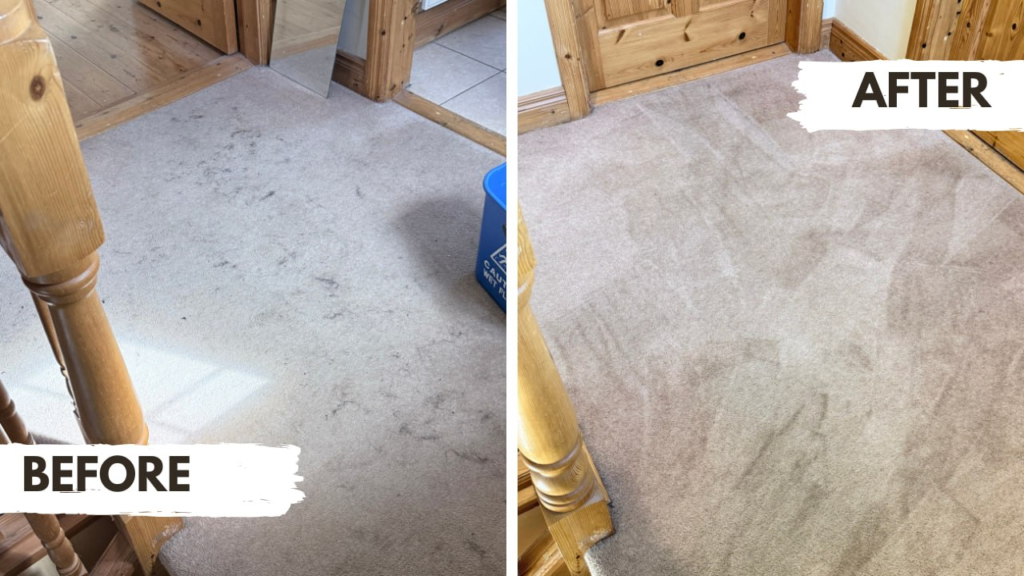 Need a carpet cleaner in Kerry? DNK carpet cleaning starts from €45. Check pricing factors and request an exact quote using photos of your carpets.